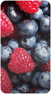 Blueberry<br/>Raspberry