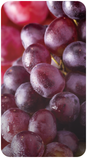Grape Ice