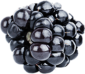 J6000