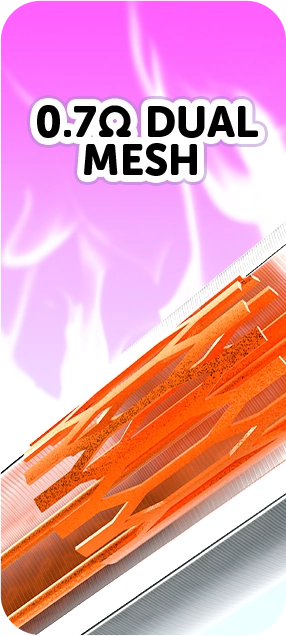 0.7Ω Dual Mesh