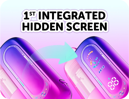 1st Integrated Hidden Screen
